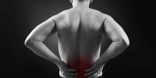 Low-Back-Pain-Workshop-Corporate-Workshop